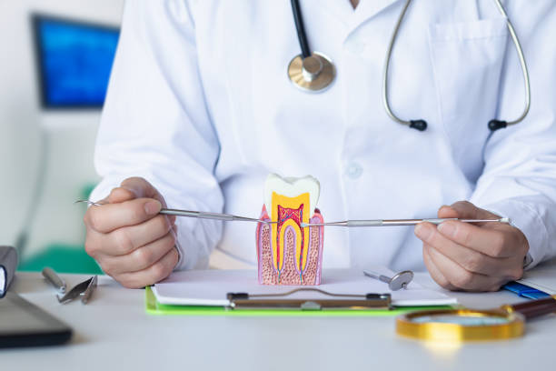 Best Broken or Cracked Tooth Emergency Dentist in San Felipe, TX